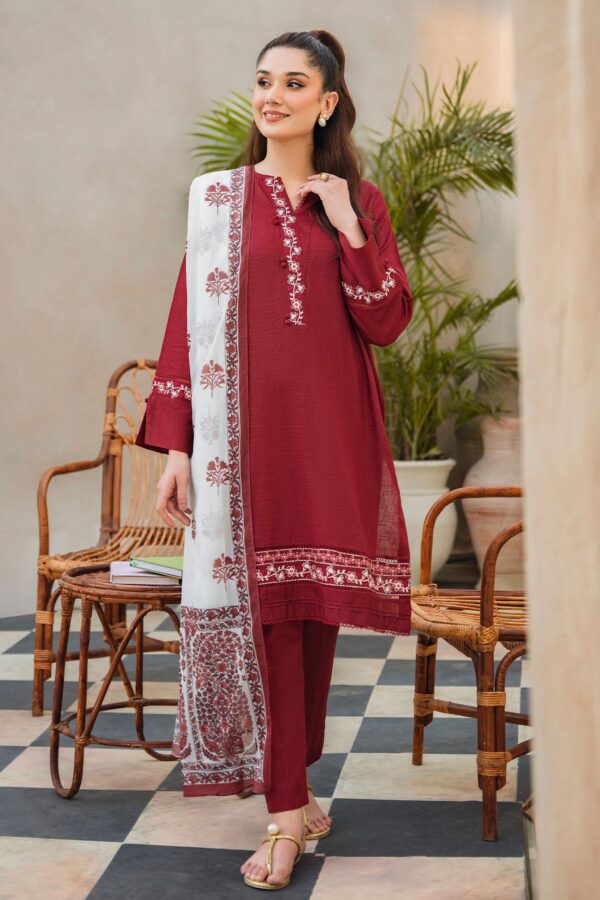 Shahnoor - 3 Piece Khaddar RTW