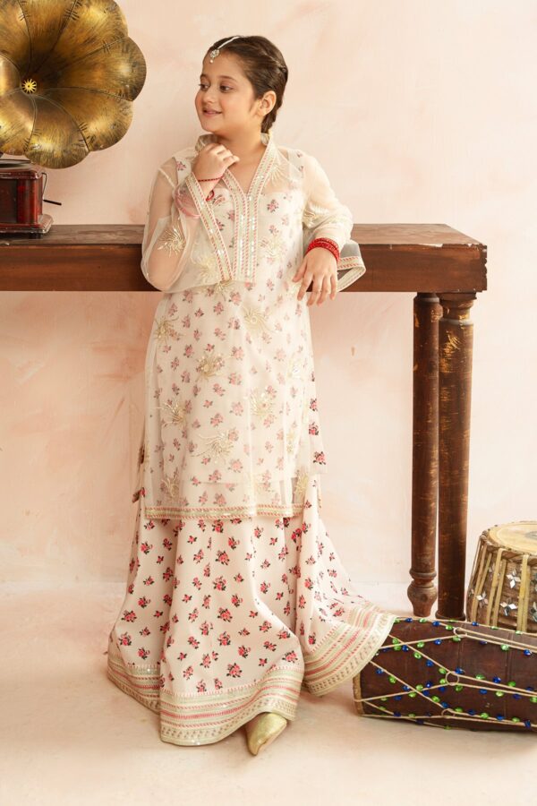 Roshni - 3 Piece Silk RTW